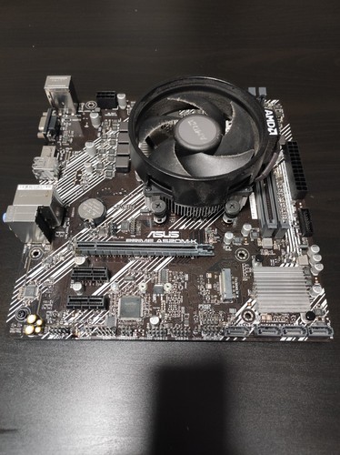 Scheda madre asus prime - scheda,